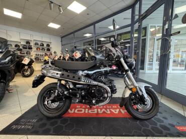 Dax 125 zum Aktionspreis (ST 125)