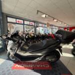 Forza 300/ NSS 300
