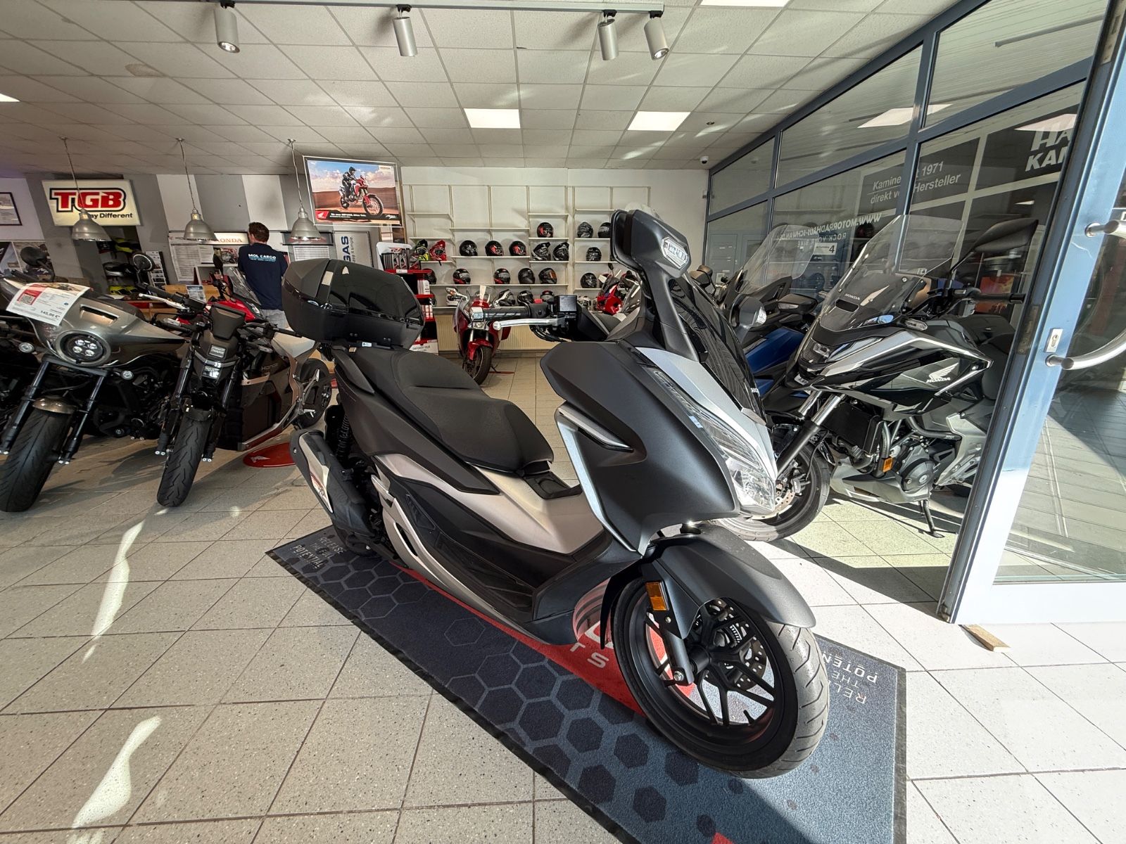 Forza 300/ NSS 300
