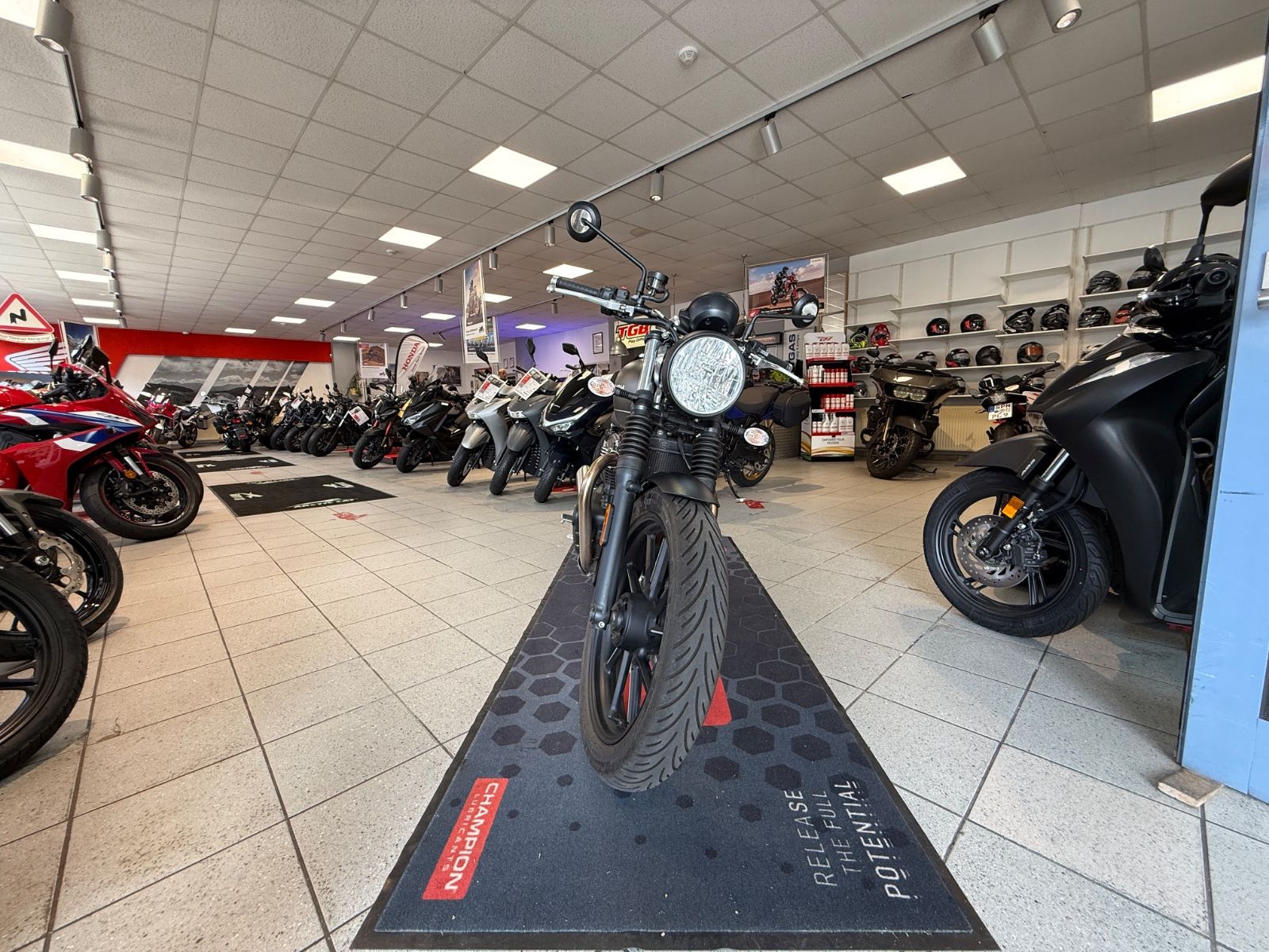 Speed Twin 900